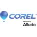 CorelDRAW Graphics Suite Education 1Yr CorelSure Maintenace Renewal (1-4)